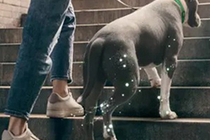 Science In Every Step