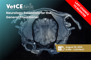 Last chance to register for Neurology VetCE Virtual