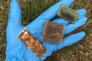 Oral rabies vaccine baits distributed across Northern Maine