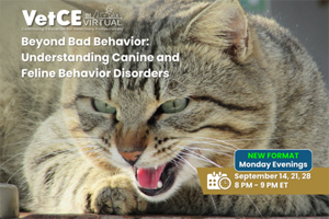 Learn Animal Behavior at our new VetCE Virtual event series