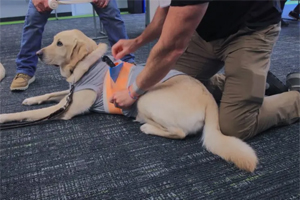 Oregon hospital trains K9 handlers in emergency care