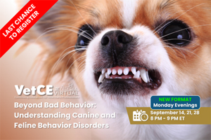 Last chance to register for the Behavior VetCE Virtual
