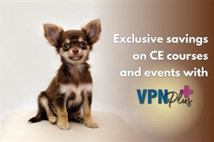 Exclusive savings on CE with VPN Plus+