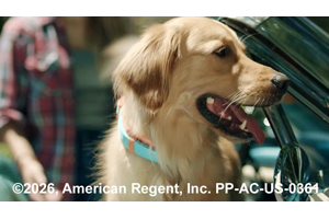 Take a proactive approach to canine OA.