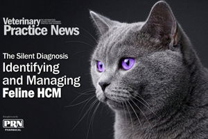 Access our latest eBook on feline HCM